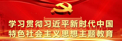 学习贯彻习近平新时代中国特色社会主义思想主题教育
